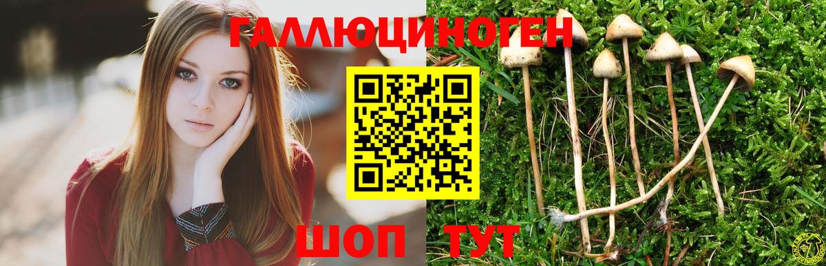 Галлюциногенные грибы Psilocybe  Вход с VPN  Псилоцибиновые грибы Magic Shrooms  Бутурлиновка 